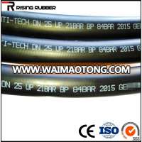 WP. 20 Bar 300 PSI Nylon Braided High Pressure Rubber Air Hose